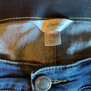 Christopher and Banks 22P jeans.